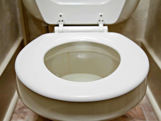 コウモリ退治は専門業者に依頼するべき